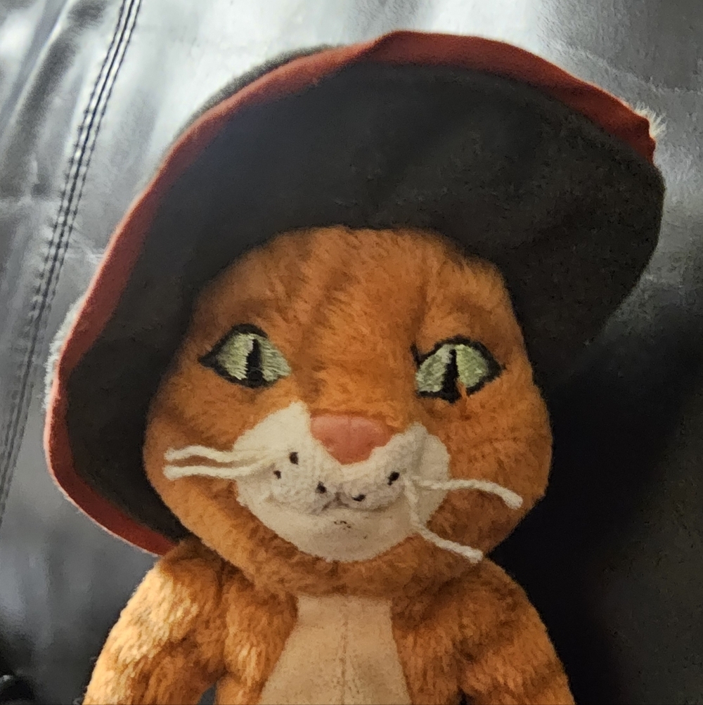 Ty Beanie Babies Puss In Boots Shrek the Third 8.5 Inch Tall Plush 2007 Edition - Picture 13 of 13